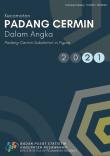 Padang Cermin Subdistrict In Figures 2021