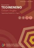 Tegineneng Subdistrict in Figures 2021